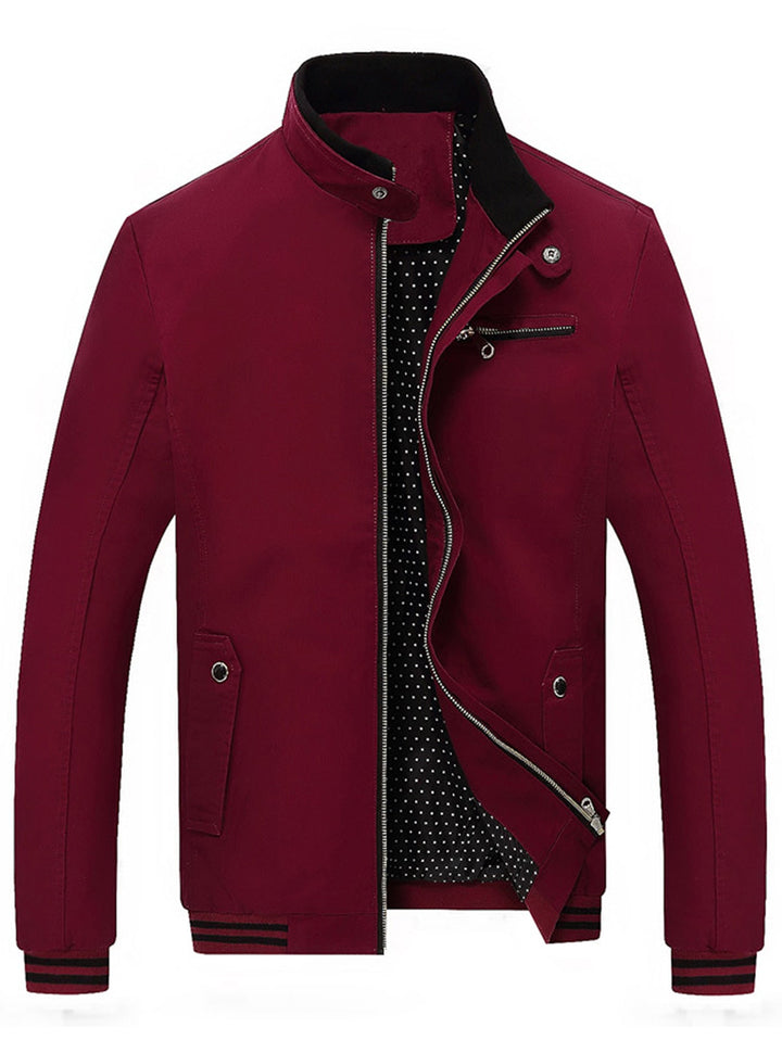 Casual Gestreepte Zip-Up Jas voor Alledaags Gebruik